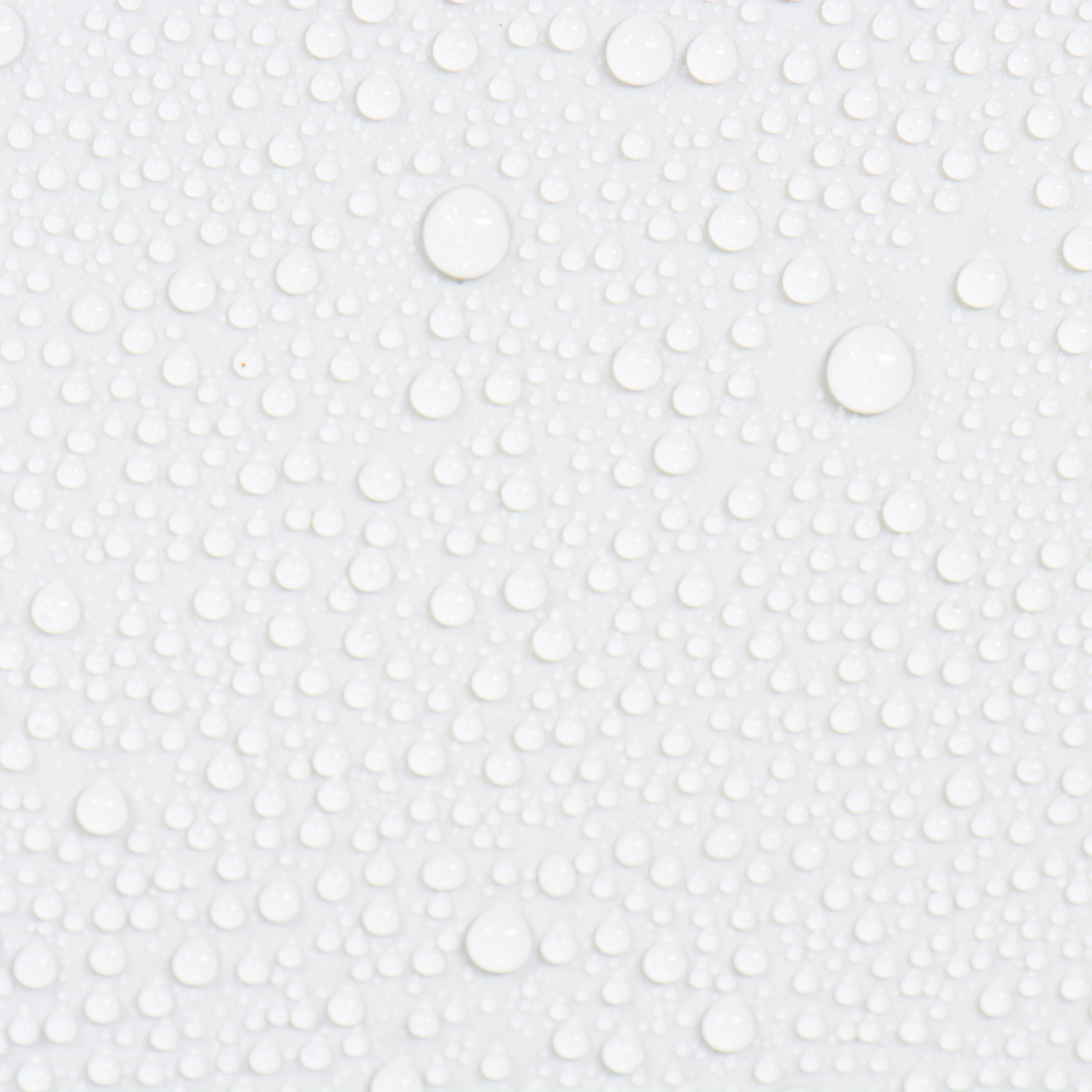 shutterstock_1209293614.jpg