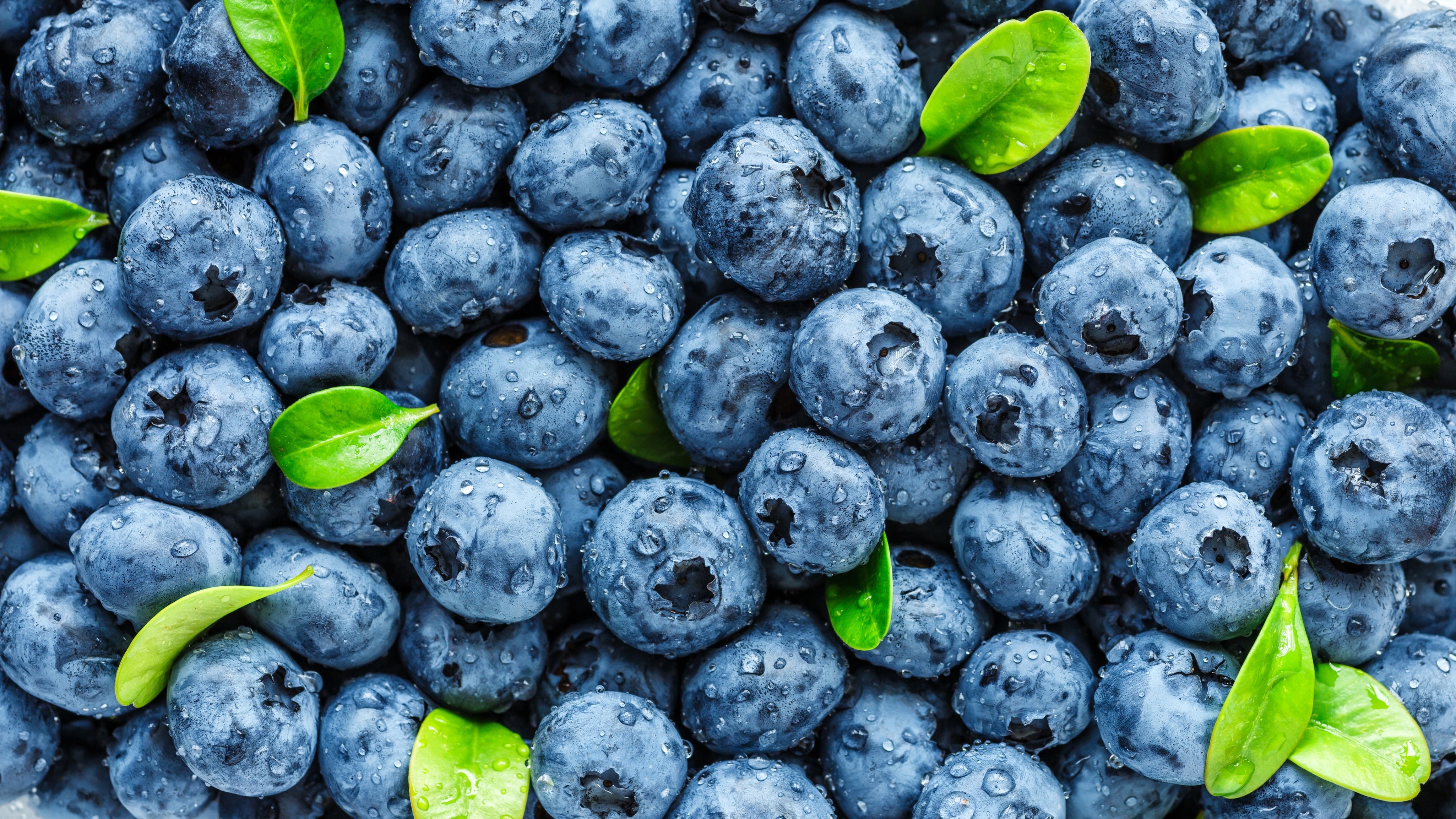 Blueberry
