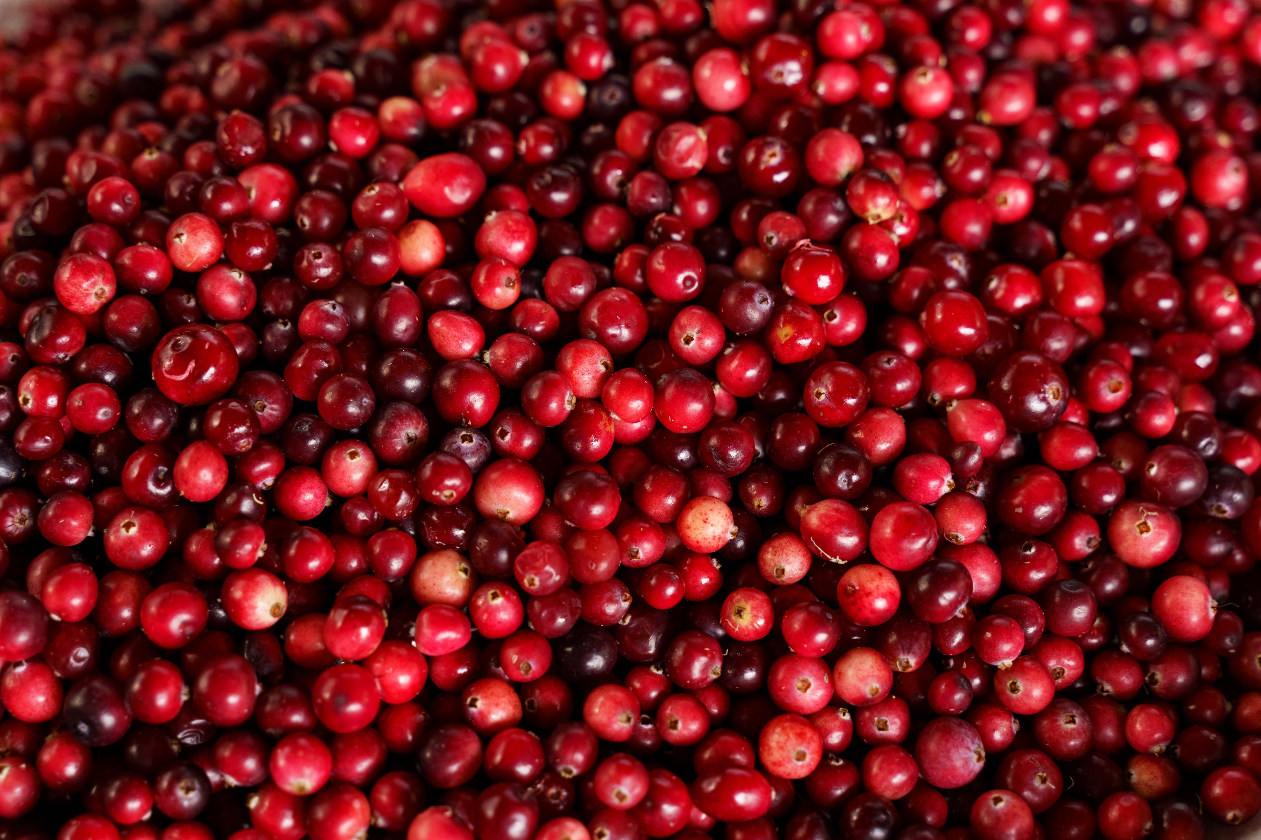 Cranberry
