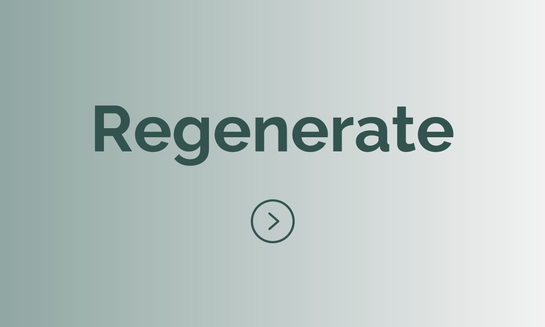 SK-REGENERATE.png