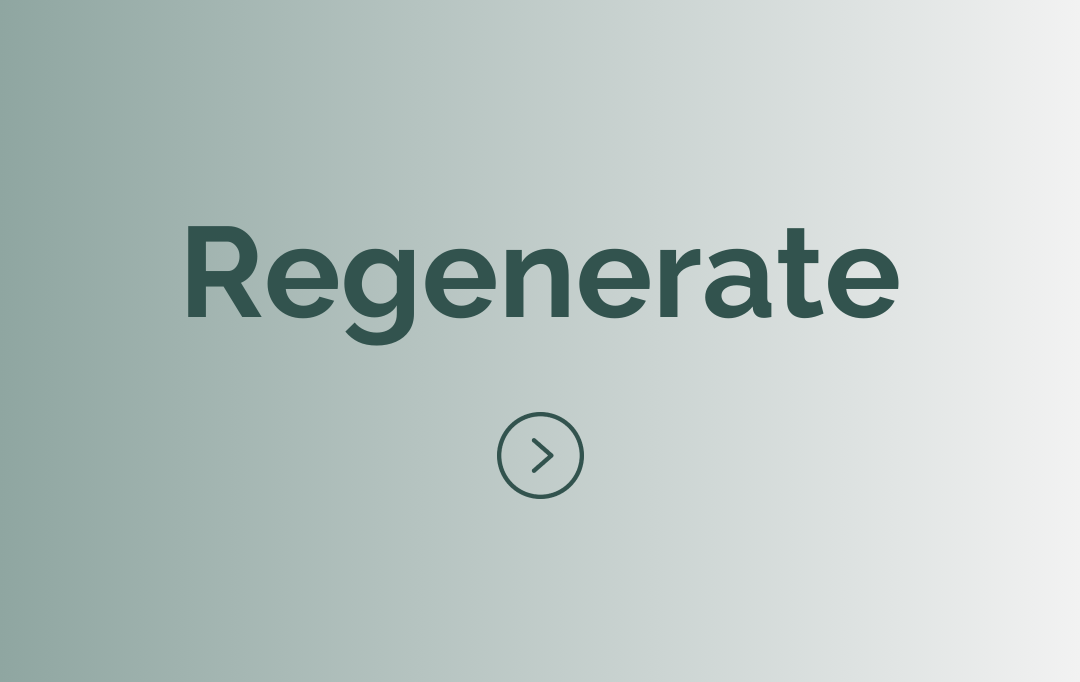 SK-REGENERATE.png