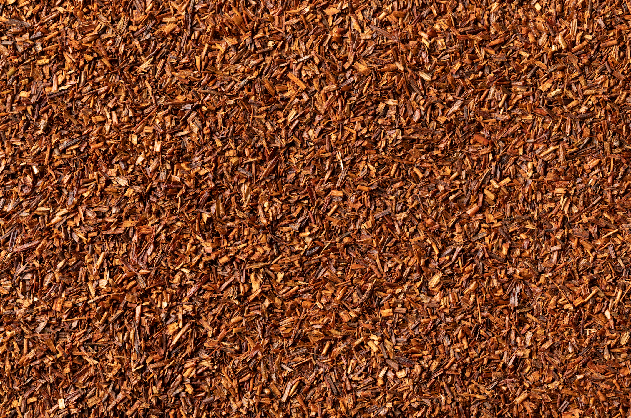 Rooibos