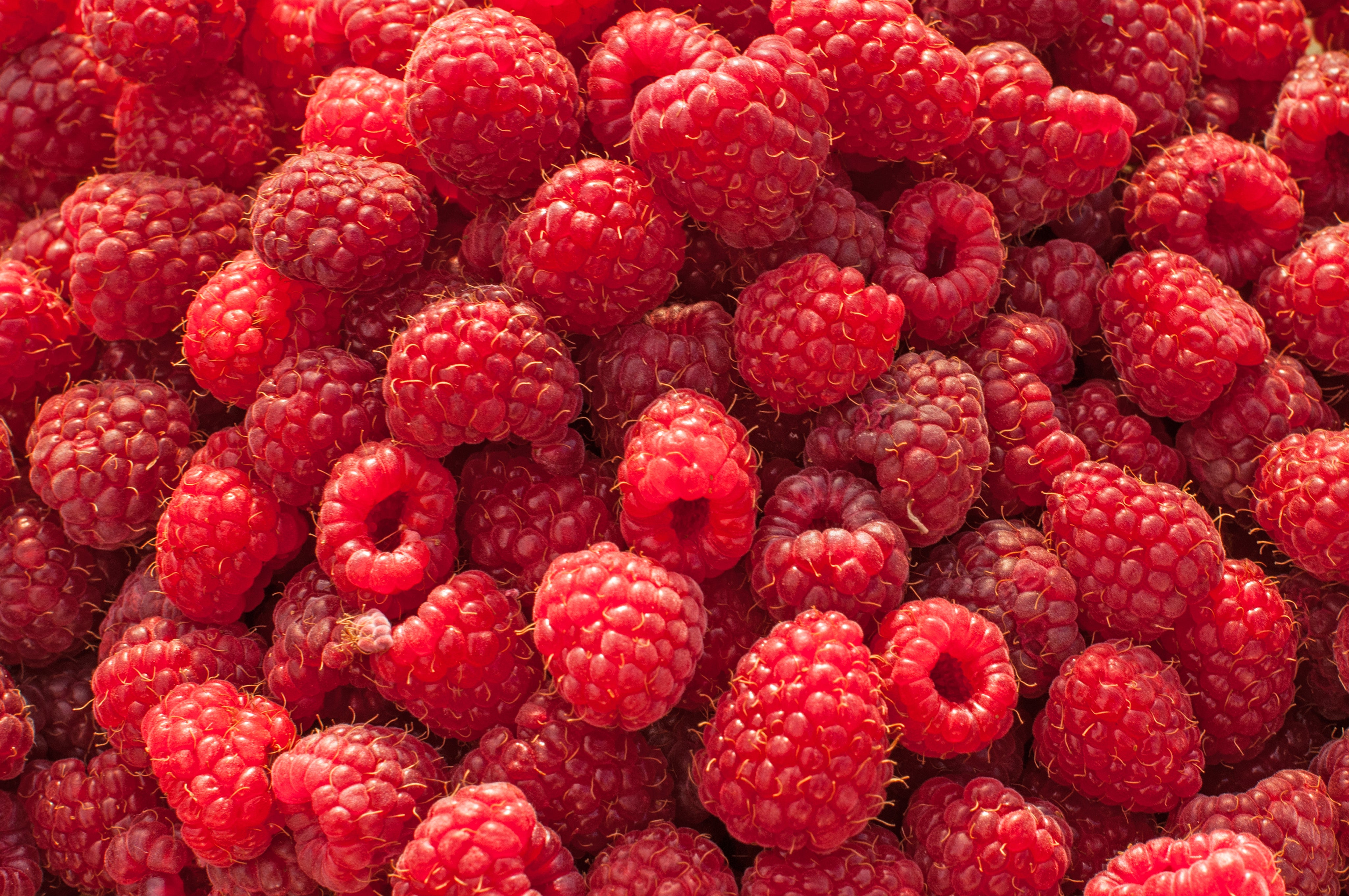 Organic Raspberry