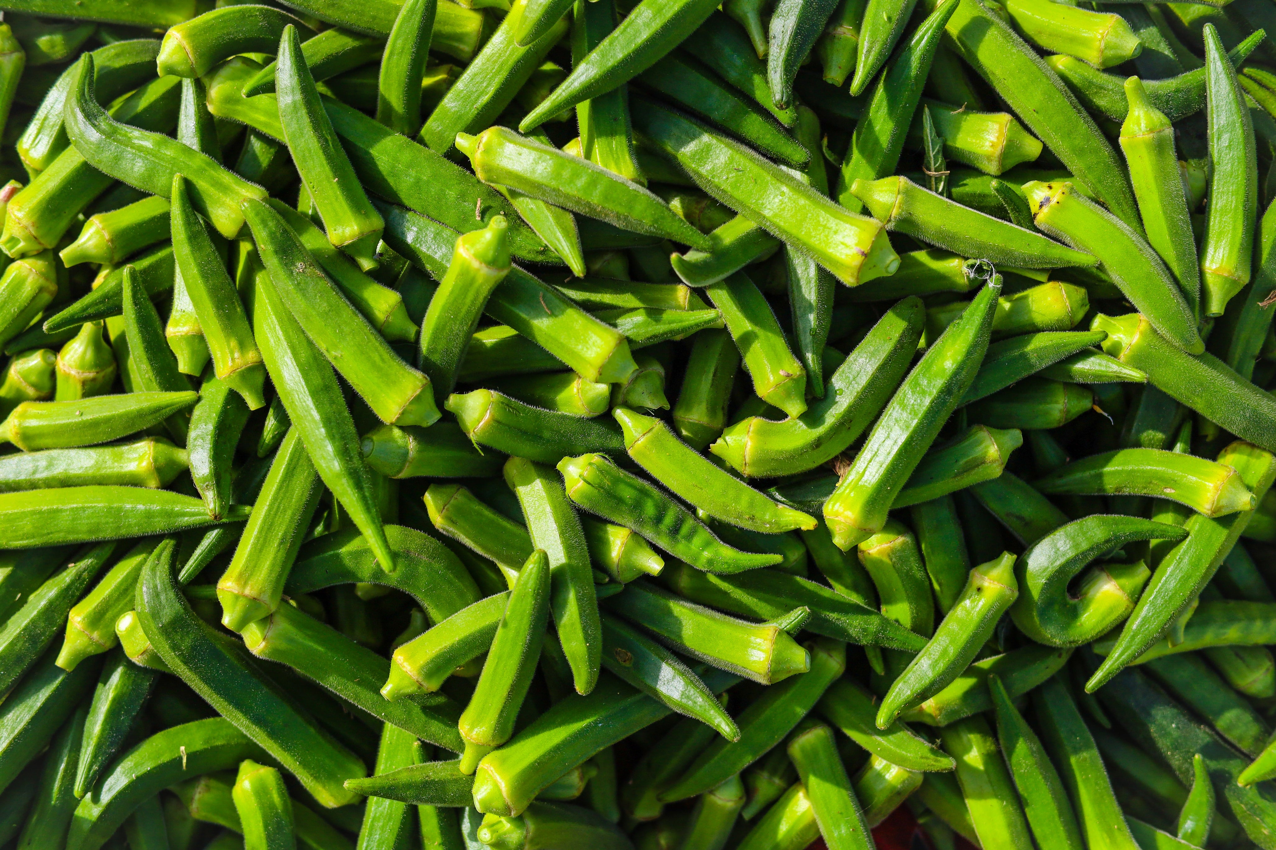 Okra Extract