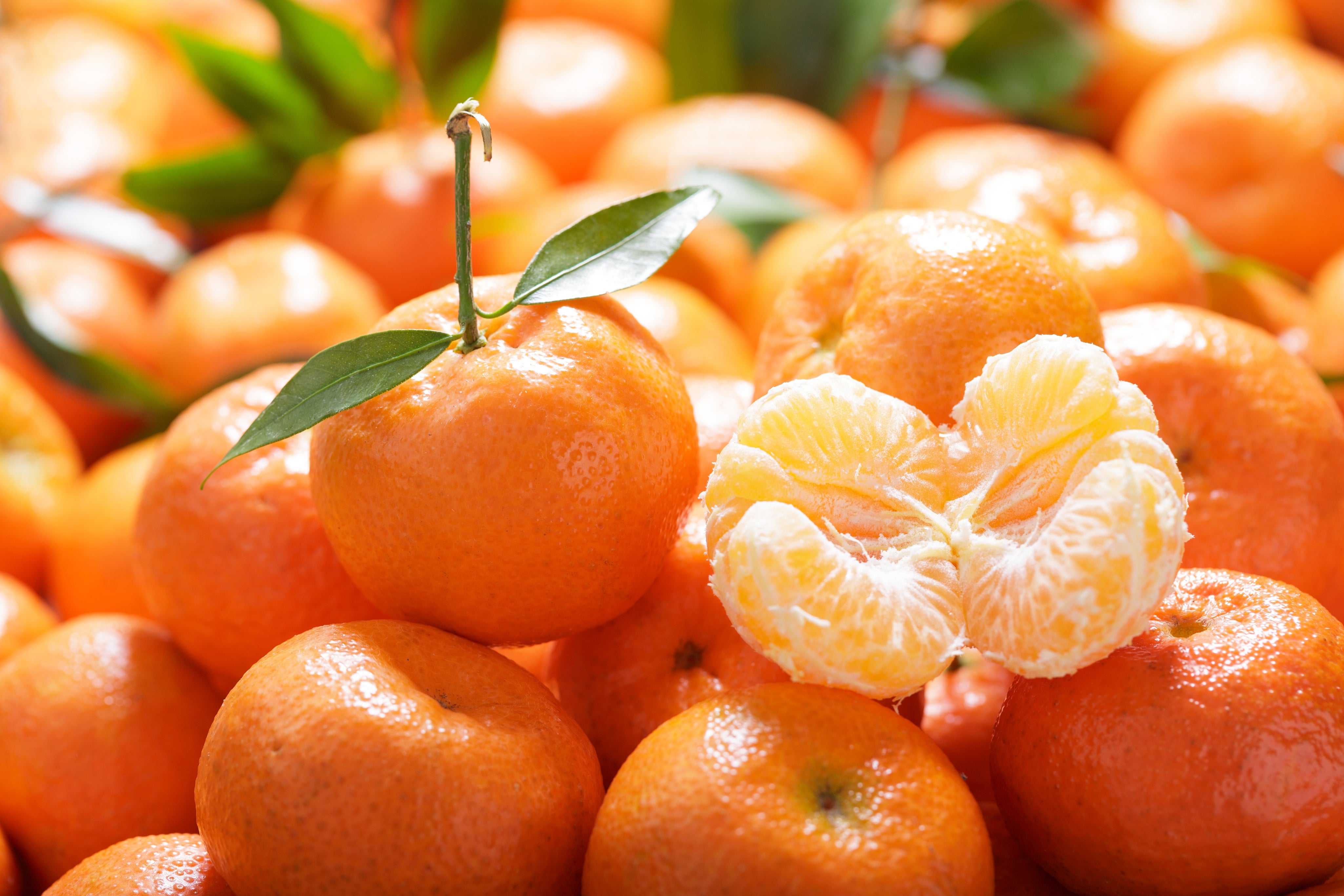 Organic Mandarin Orange: