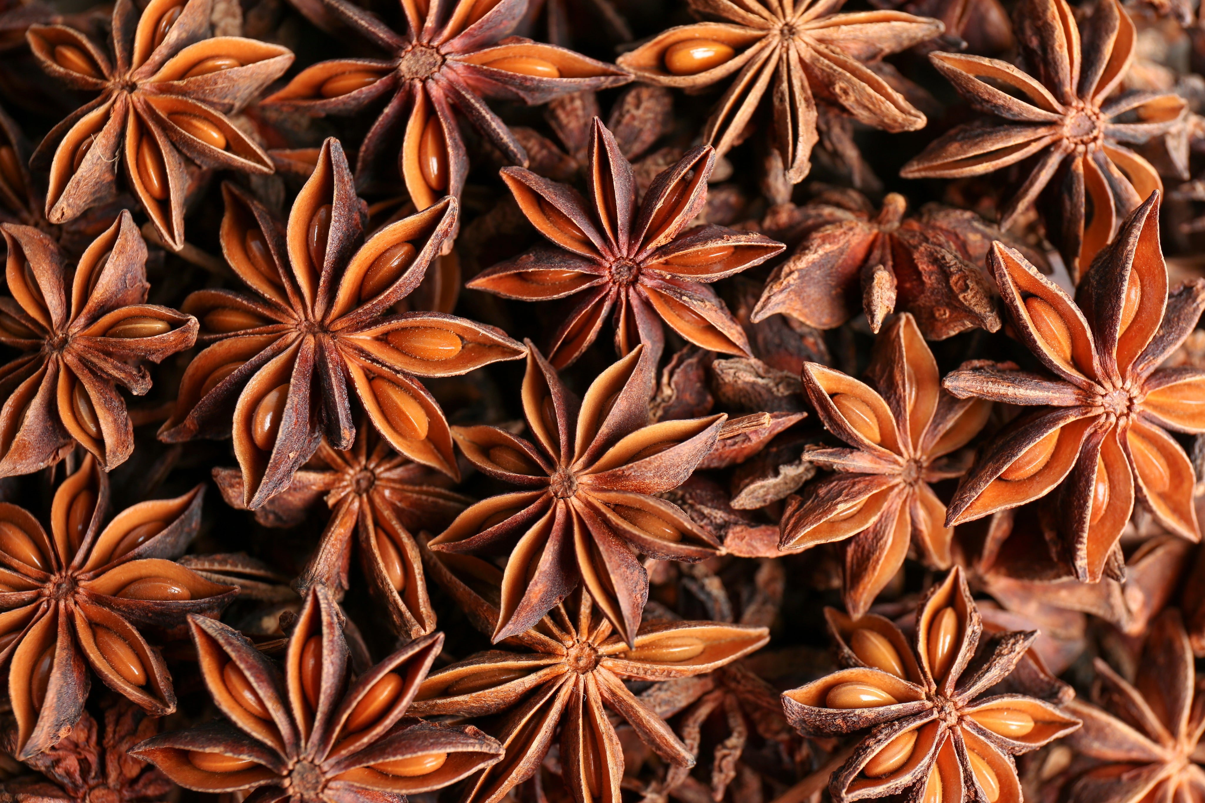 Star Anise