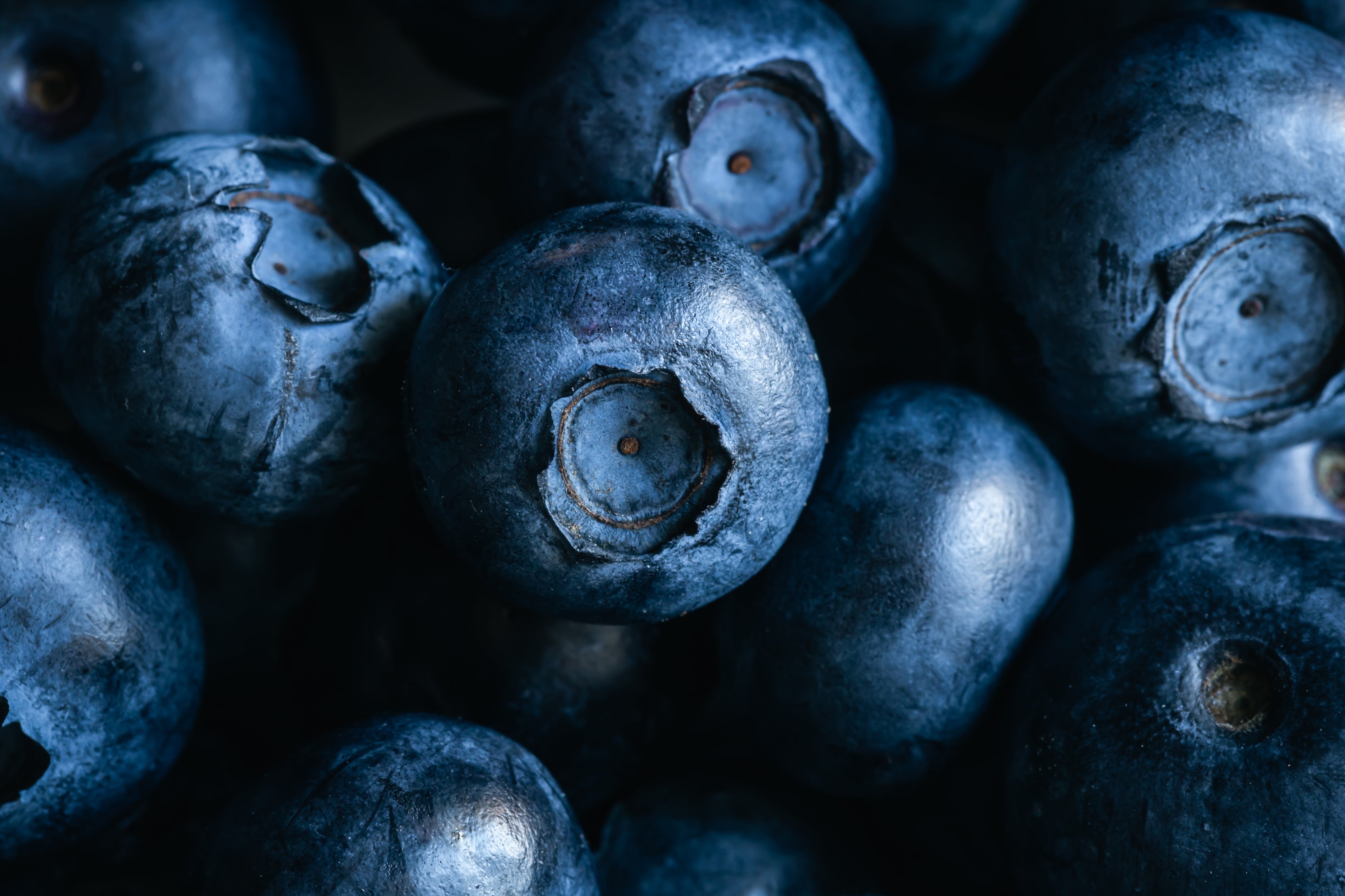 Organic Bilberry